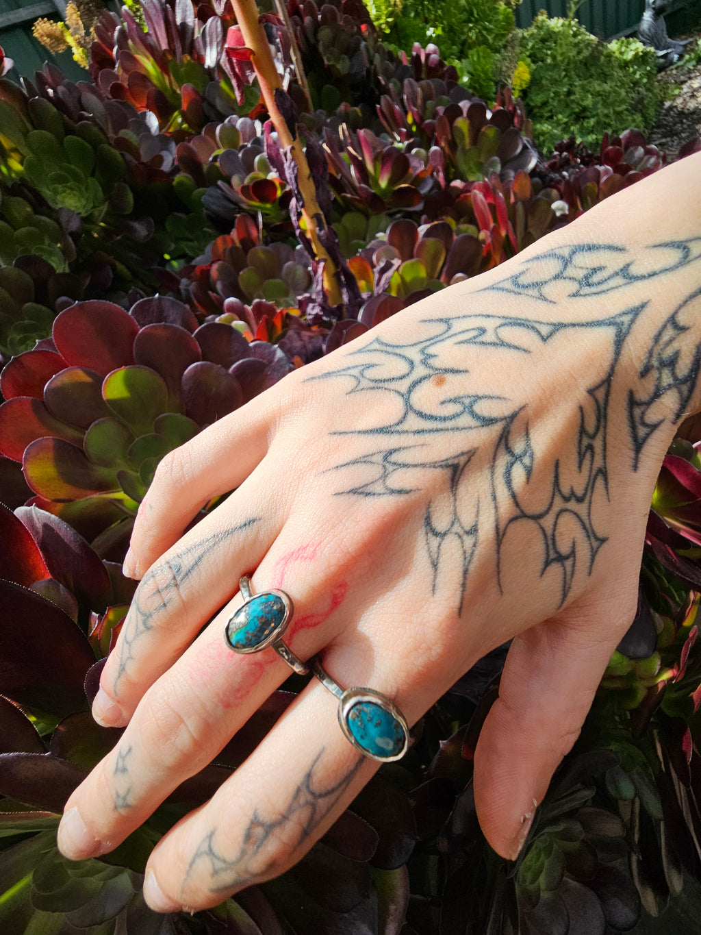 Nacozari Turquoise Ring